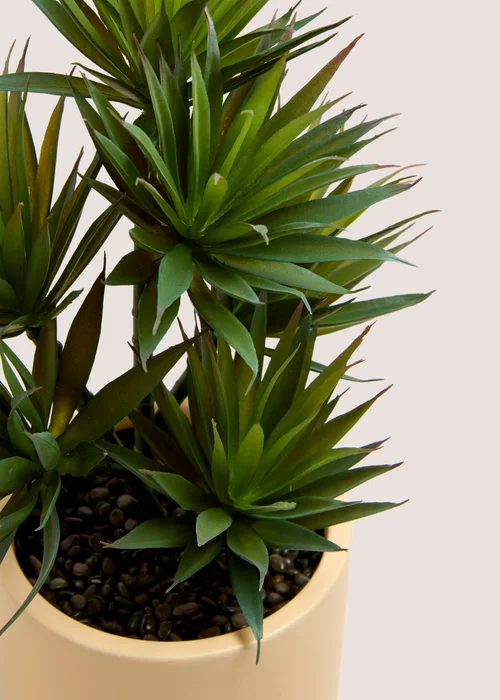 Yukka Ceramic Pot (46cm x 27cm x 22cm) Image 2