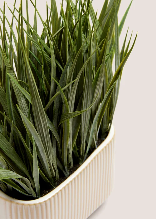 Grass Ribbed Pot (35cm x 35cm x 20cm) Image 2