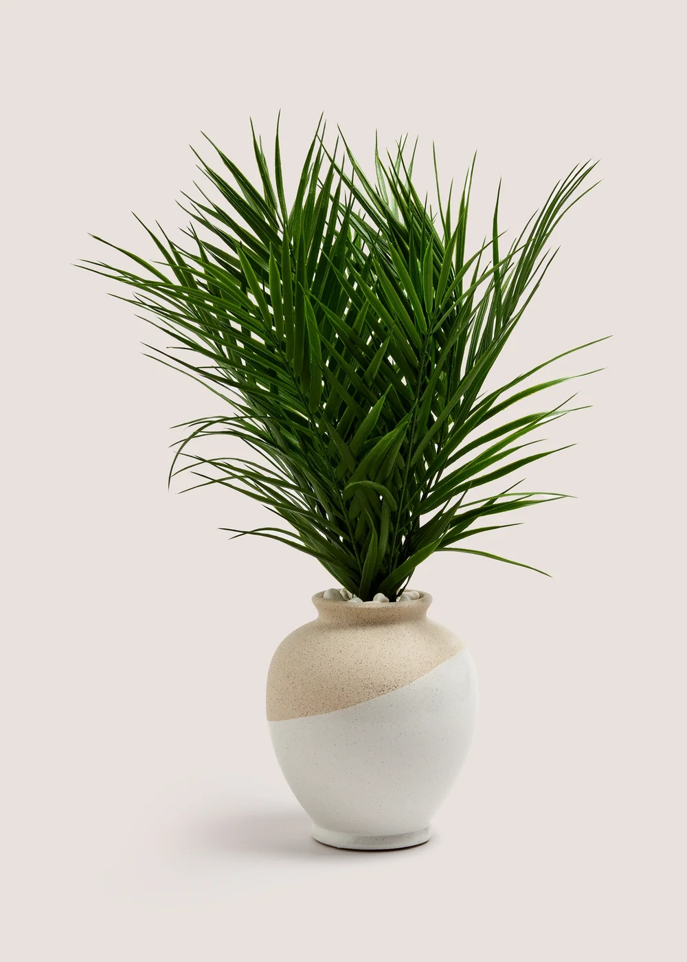 Palm In Dual Tone Urn Pot (16cm x 19cm) Image 1