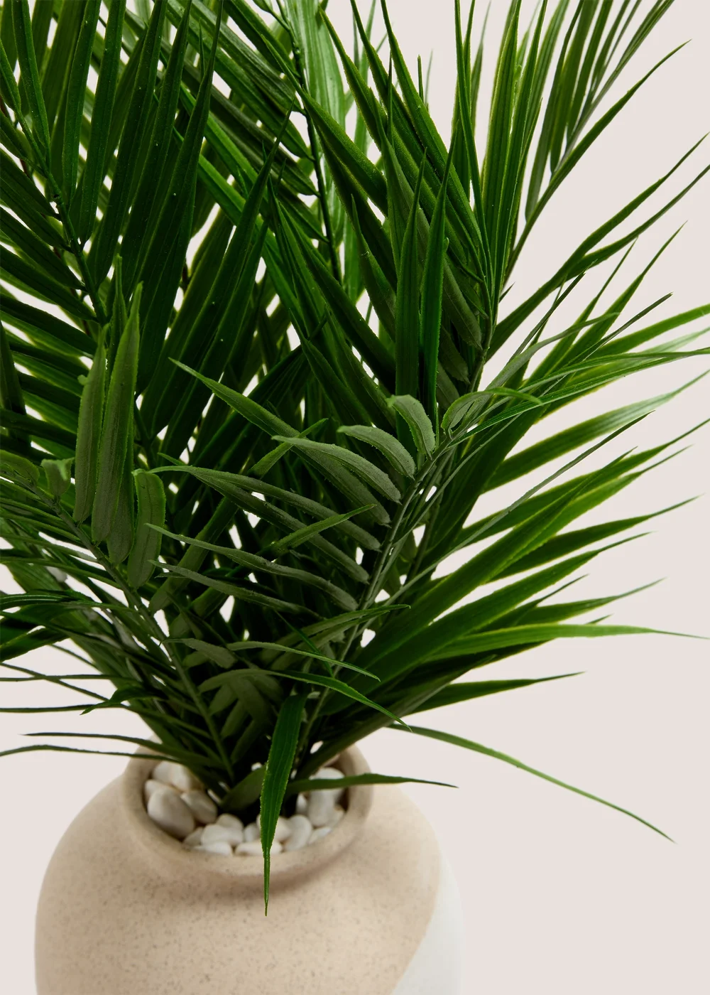 Palm In Dual Tone Urn Pot (16cm x 19cm) Image 2