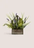 Lavender Wood House Trough (38cm x 42cm x 23cm) Image 1