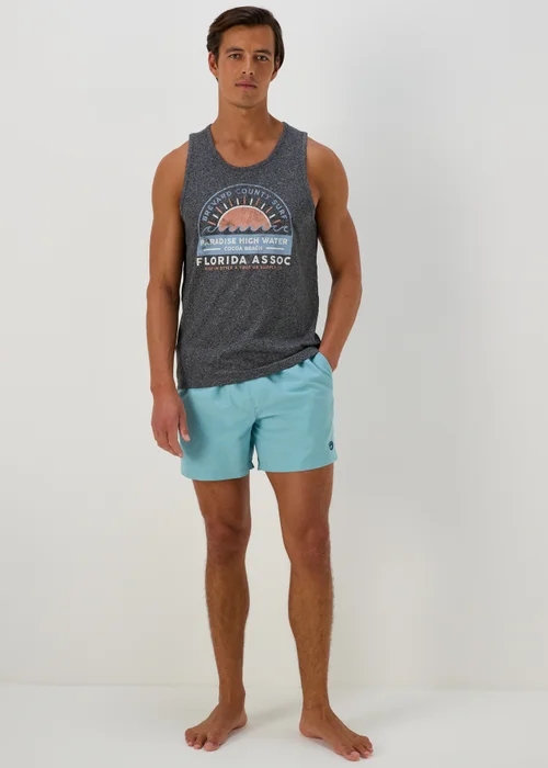 Aqua Embroidered Swim Shorts - Small Image 3