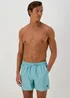 Aqua Embroidered Swim Shorts - Small Image 1