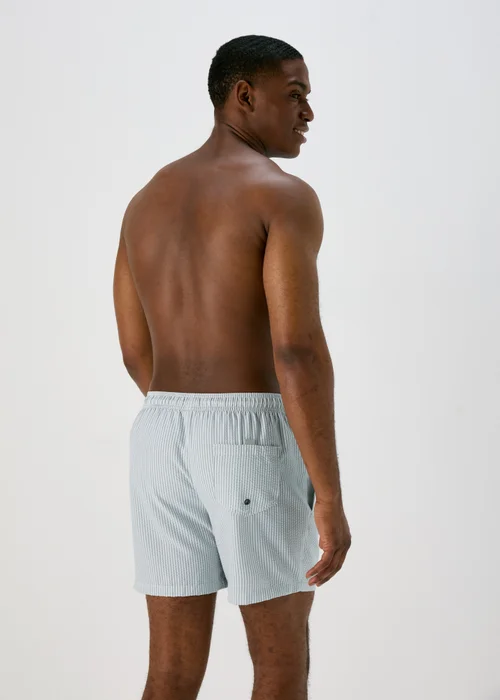 Sage Stripe Seersucker Swim Shorts - S Image 2