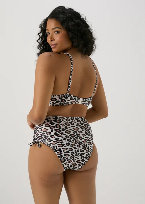 Animal Print High Waisted Briefs - 6 Image 2