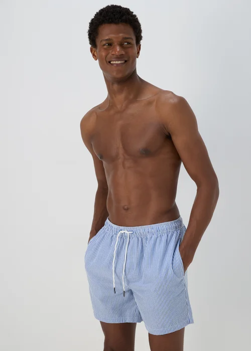 Blue Stripe Seersucker Swim Shorts - S Image 1
