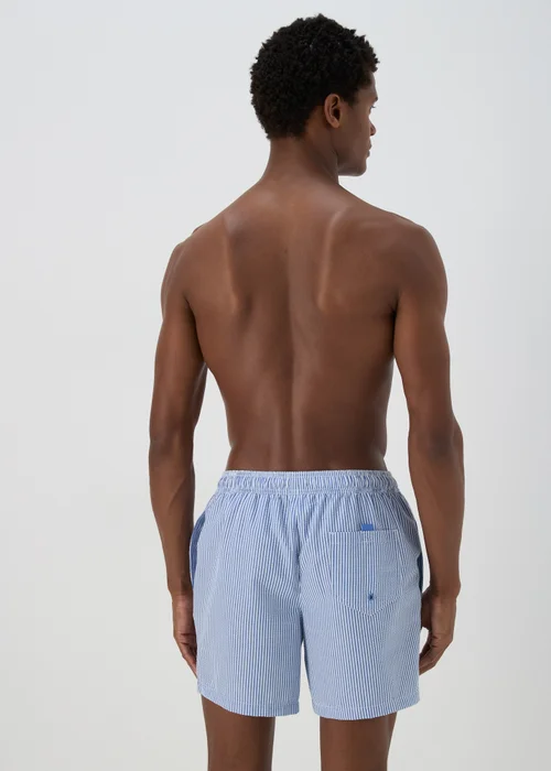 Blue Stripe Seersucker Swim Shorts - S Image 2