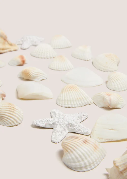 White Shell Bowl Fillers (14cm x 7cm x 7cm) Image 2