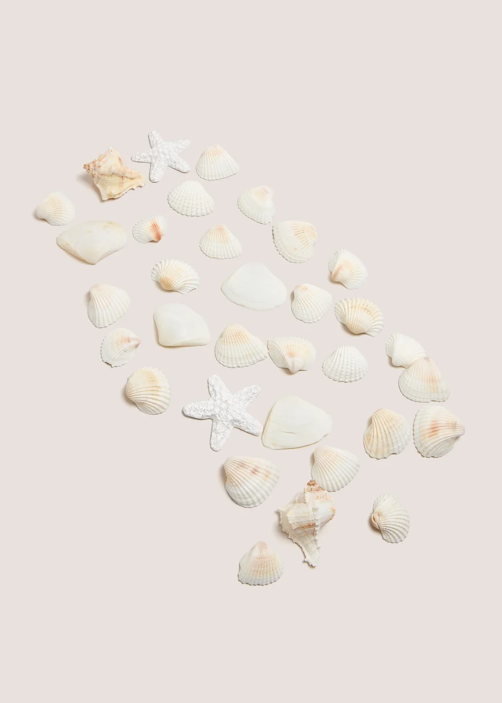 White Shell Bowl Fillers (14cm x 7cm x 7cm) Image 1