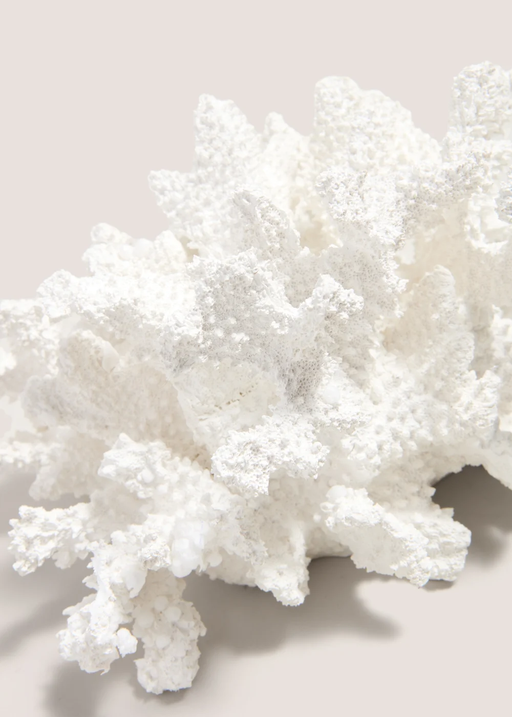 White Coral Ornament (15cm x 19.5cm x 27.9cm) Image 2