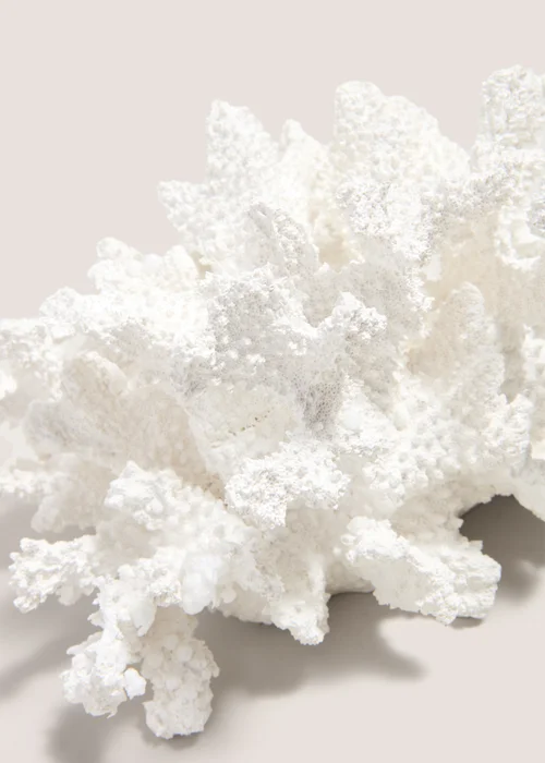 White Coral Ornament (15cm x 19.5cm x 27.9cm) Image 2