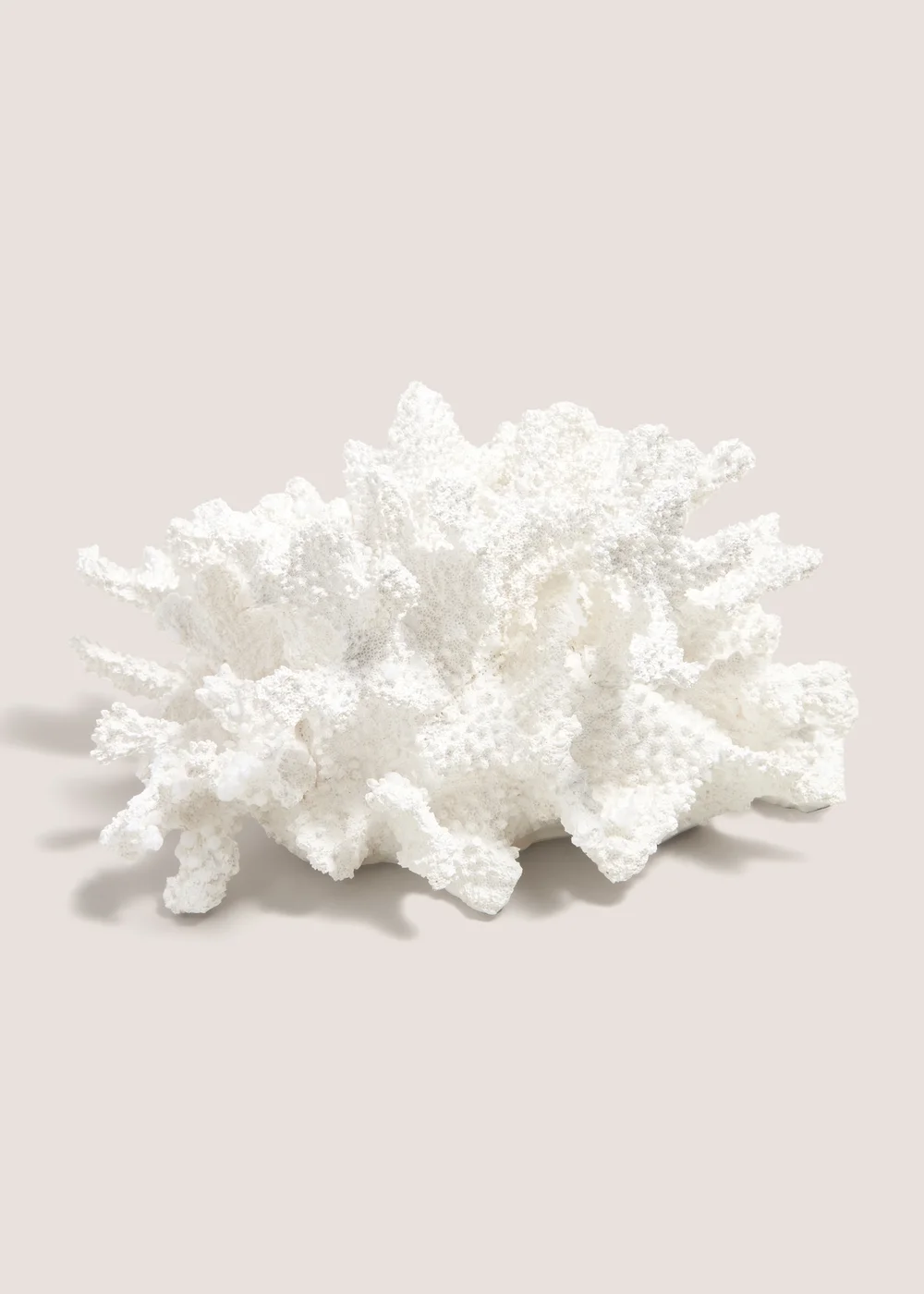 White Coral Ornament (15cm x 19.5cm x 27.9cm) Image 1