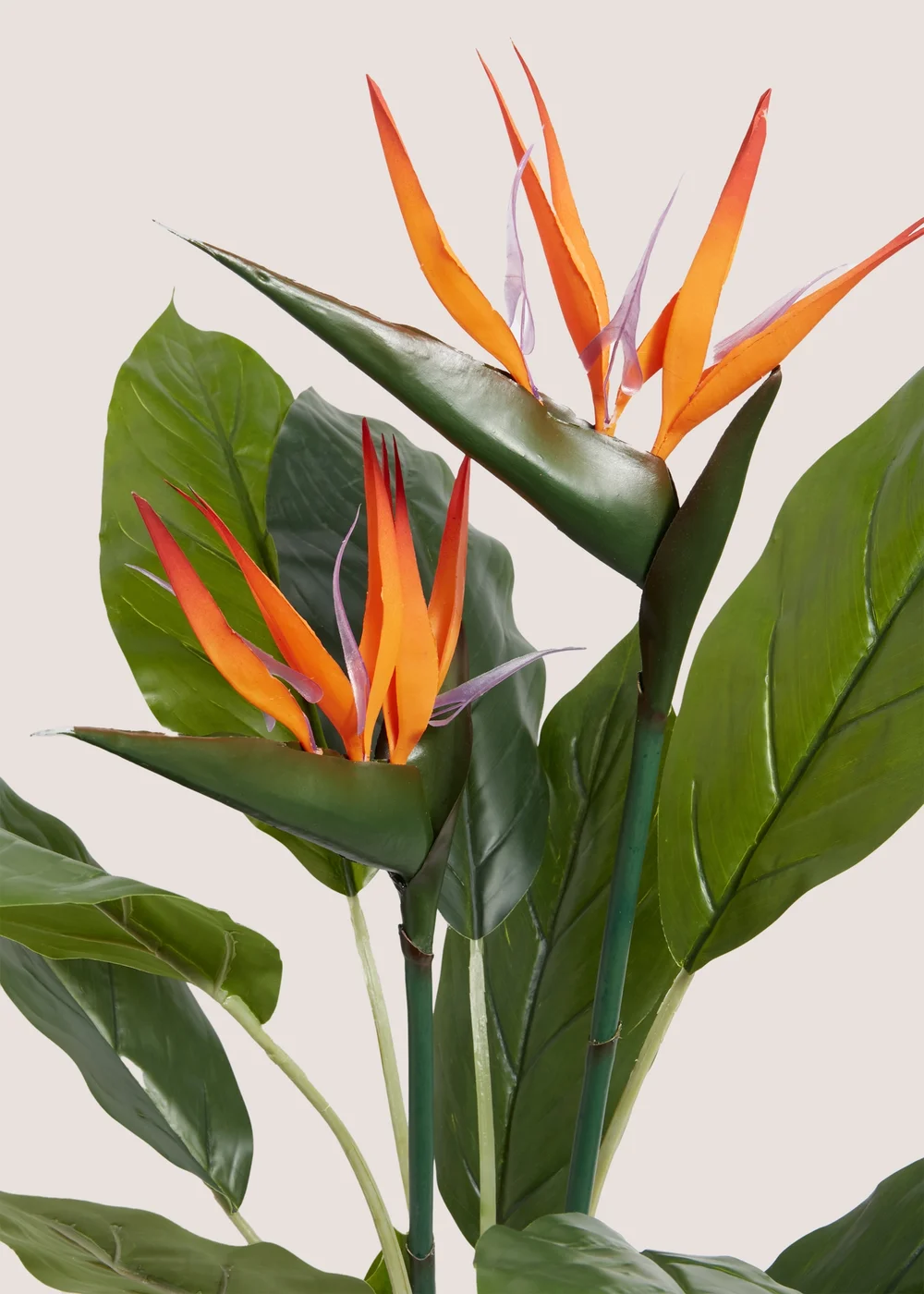 Faux Birds Of Paradise In Black Pot (100cm) Image 2