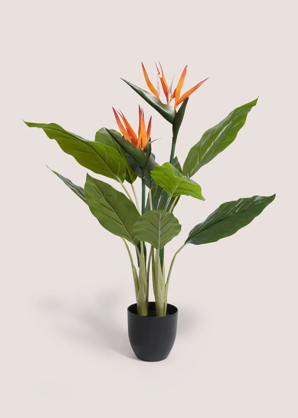 Faux Birds Of Paradise In Black Pot (100cm) Image 1