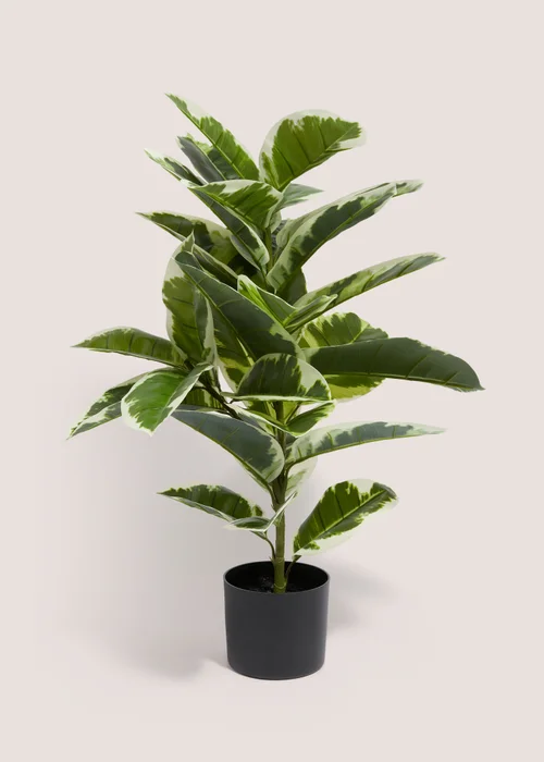 Oak Tree (75 cm) Image 1
