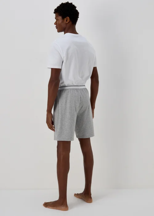 Grey Stripe Jacquard Waistband Shorts - Extra small Image 2