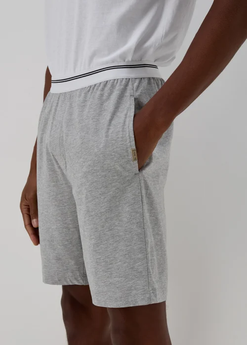 Grey Stripe Jacquard Waistband Shorts - Extra small Image 3