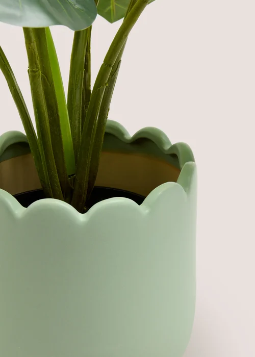 Outdoor Green Ceramic Scalloped Planter (20cm x 20cm x 20cm) Image 2