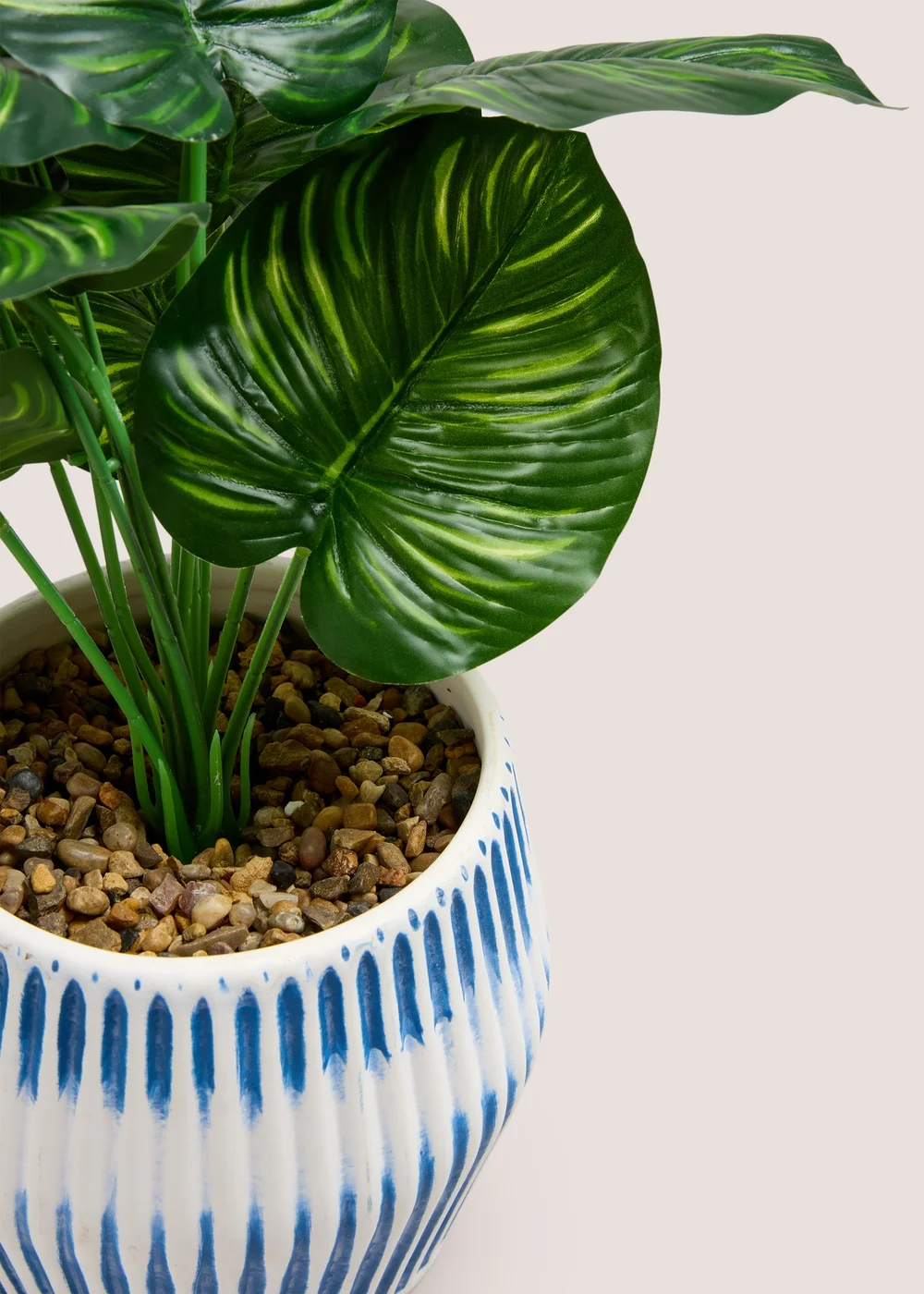 Leafy Plant In Blue Ribbed Pot (28cm x 15cm x 15cm) Image 2