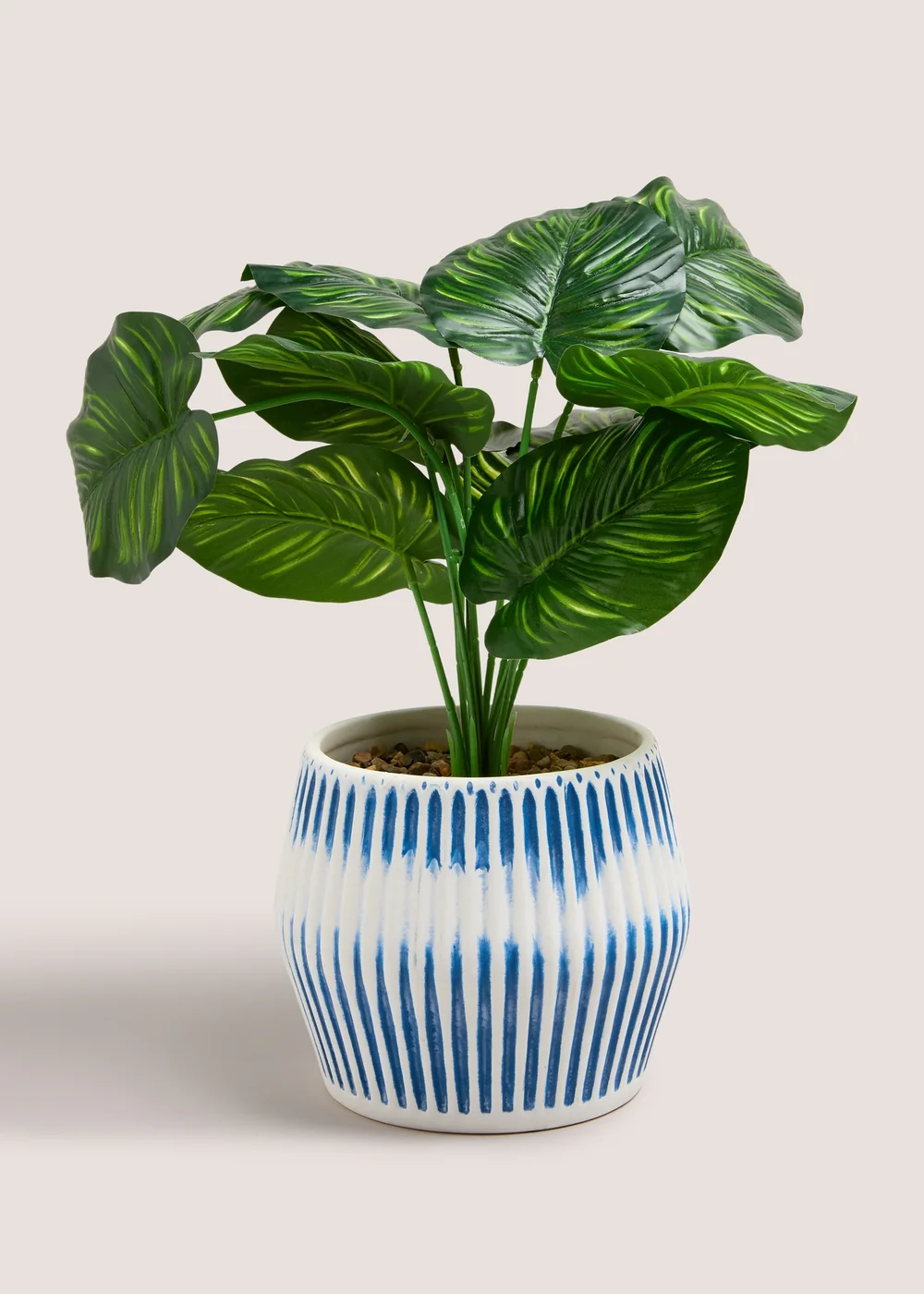 Leafy Plant In Blue Ribbed Pot (28cm x 15cm x 15cm) Image 1