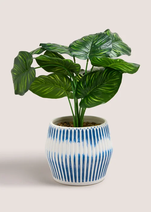 Leafy Plant In Blue Ribbed Pot (28cm x 15cm x 15cm) Image 1