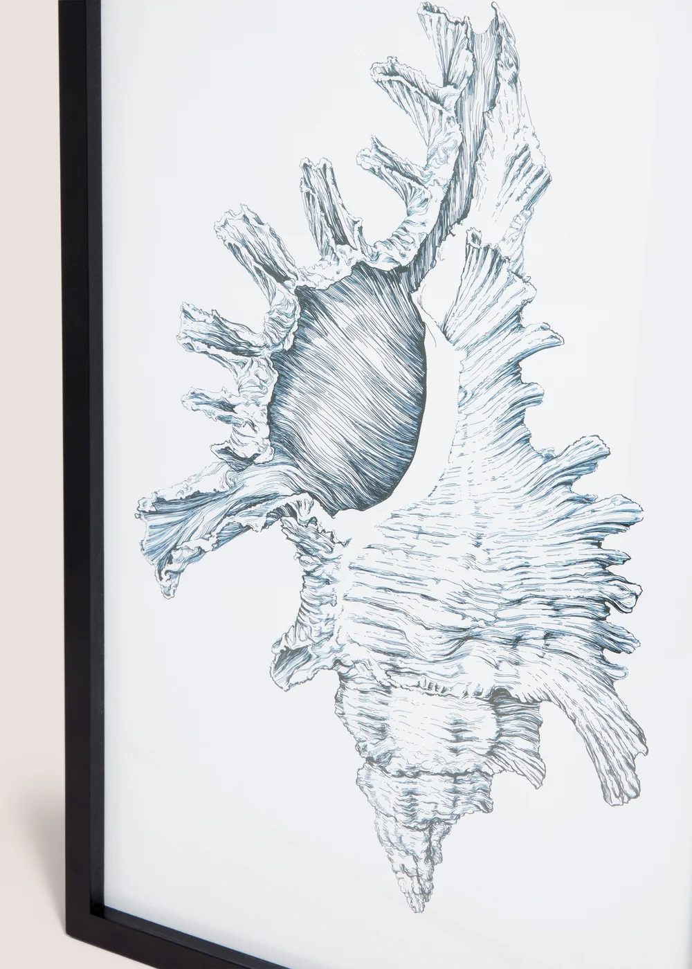 Shell Wall Art (48cm x 32cm) Image 2