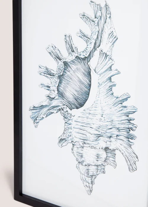 Shell Wall Art (48cm x 32cm) Image 2