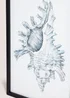 Shell Wall Art (48cm x 32cm) Image 2