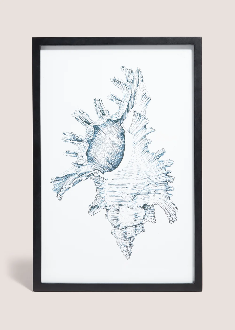 Shell Wall Art (48cm x 32cm) Image 1