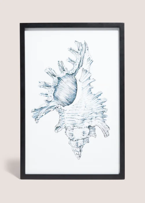 Shell Wall Art (48cm x 32cm) Image 1