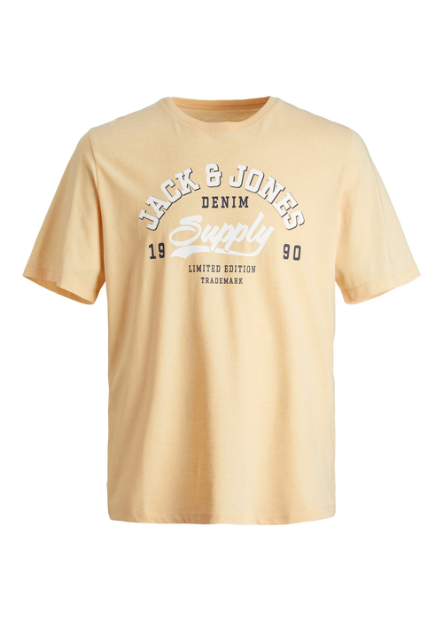 Jack & Jones Boys Orange T-Shirt (6-16yrs) - 6 Yrs Image 7