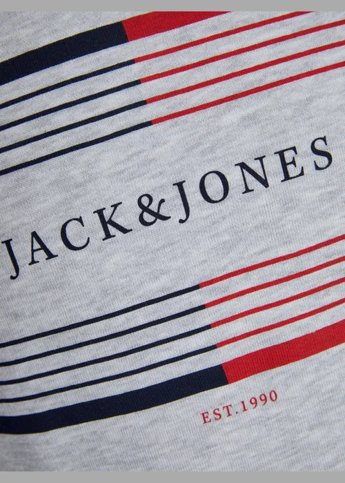 Jack & Jones Boys Grey Hoodie (6-16yrs) - Age 10 Years Image 2