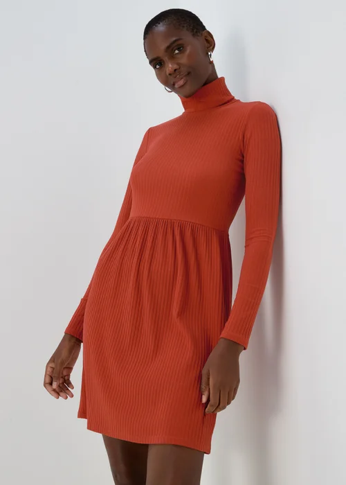 Rust High Neck Ribbed Dress - 8 Image 1