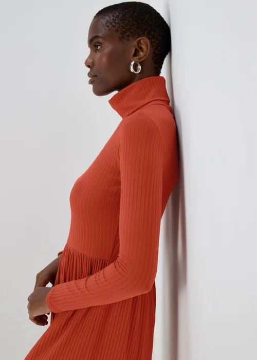 Rust High Neck Ribbed Dress - 8 Image 3