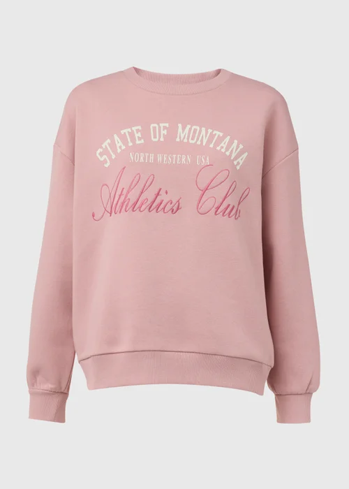 Pink Graphic Embroidered Sweatshirt - Small Image 5