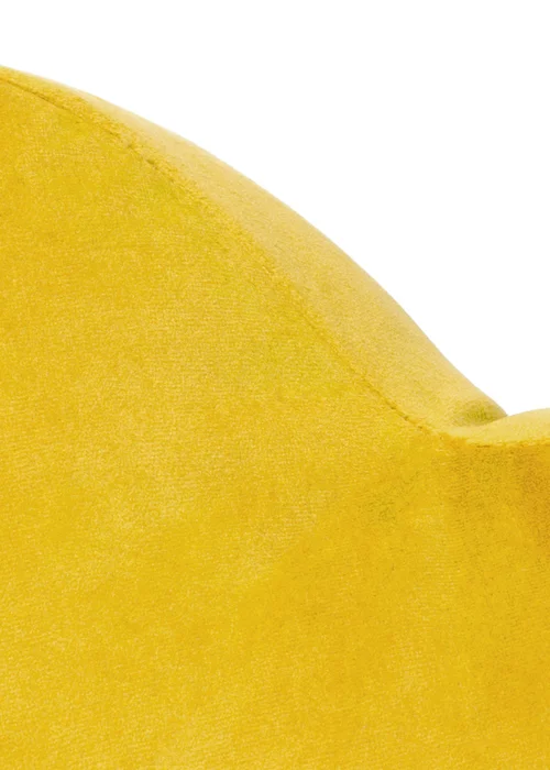 Heya Home Flower Velvet Ready Filled Cushion (One Size) - One Size Image 3