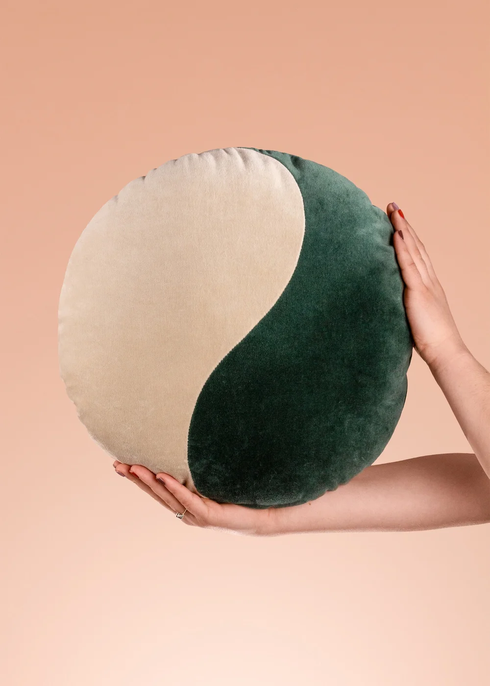 Heya Home Unity Velvet Ready Filled Cushion (One Size) - One Size Image 4