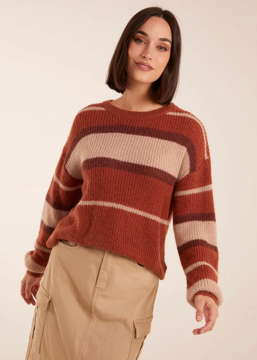 Blue Vanilla Striped Print Jumper - S/M Image 1