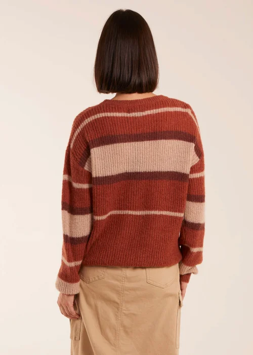 Blue Vanilla Striped Print Jumper - S/M Image 4