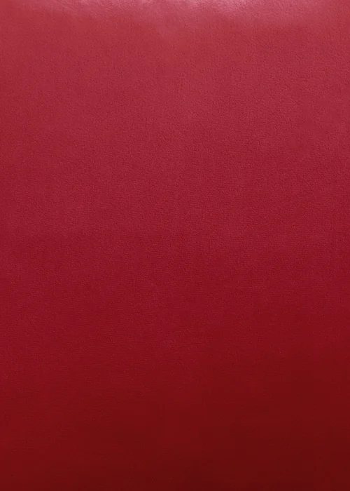 Laurence Llewelyn-Bowen Montrose Velvet Blackout Red Eyelet Single Panel Door Curtain - 66W X 84D (168x213) Image 4