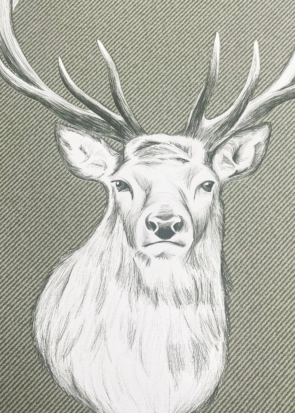 Catherine Lansfield Stag Sage Wallpaper - One Size Image 3