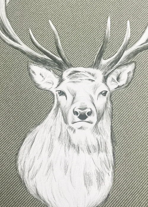 Catherine Lansfield Stag Sage Wallpaper - One Size Image 3