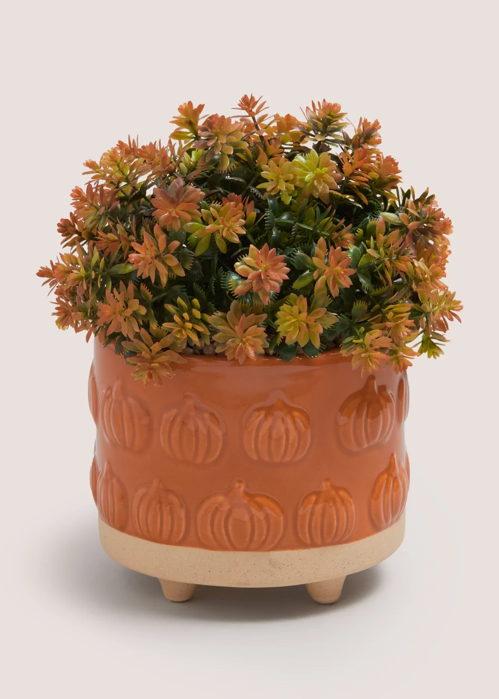 Orange Plant In Pumpkin Embossed Pot Image 1