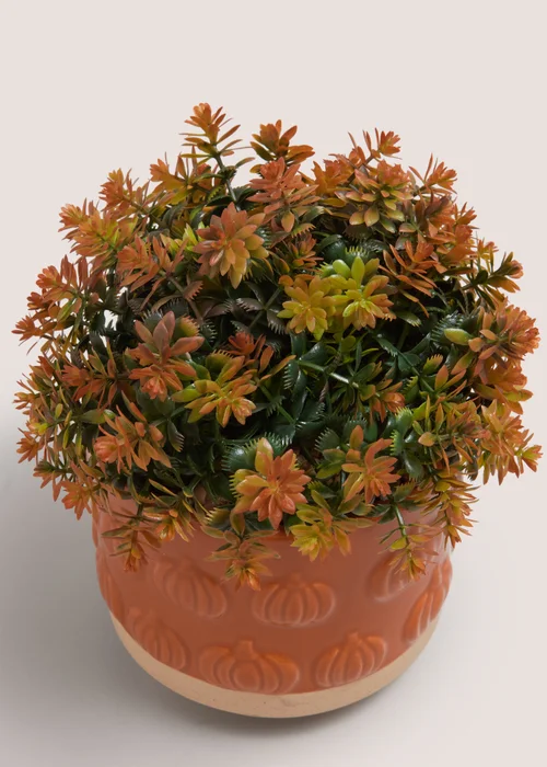 Orange Plant In Pumpkin Embossed Pot Image 2