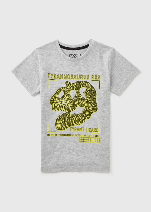 Boys Grey T-Rex T-Shirt (7-15yrs) - 7 Yrs Image 1