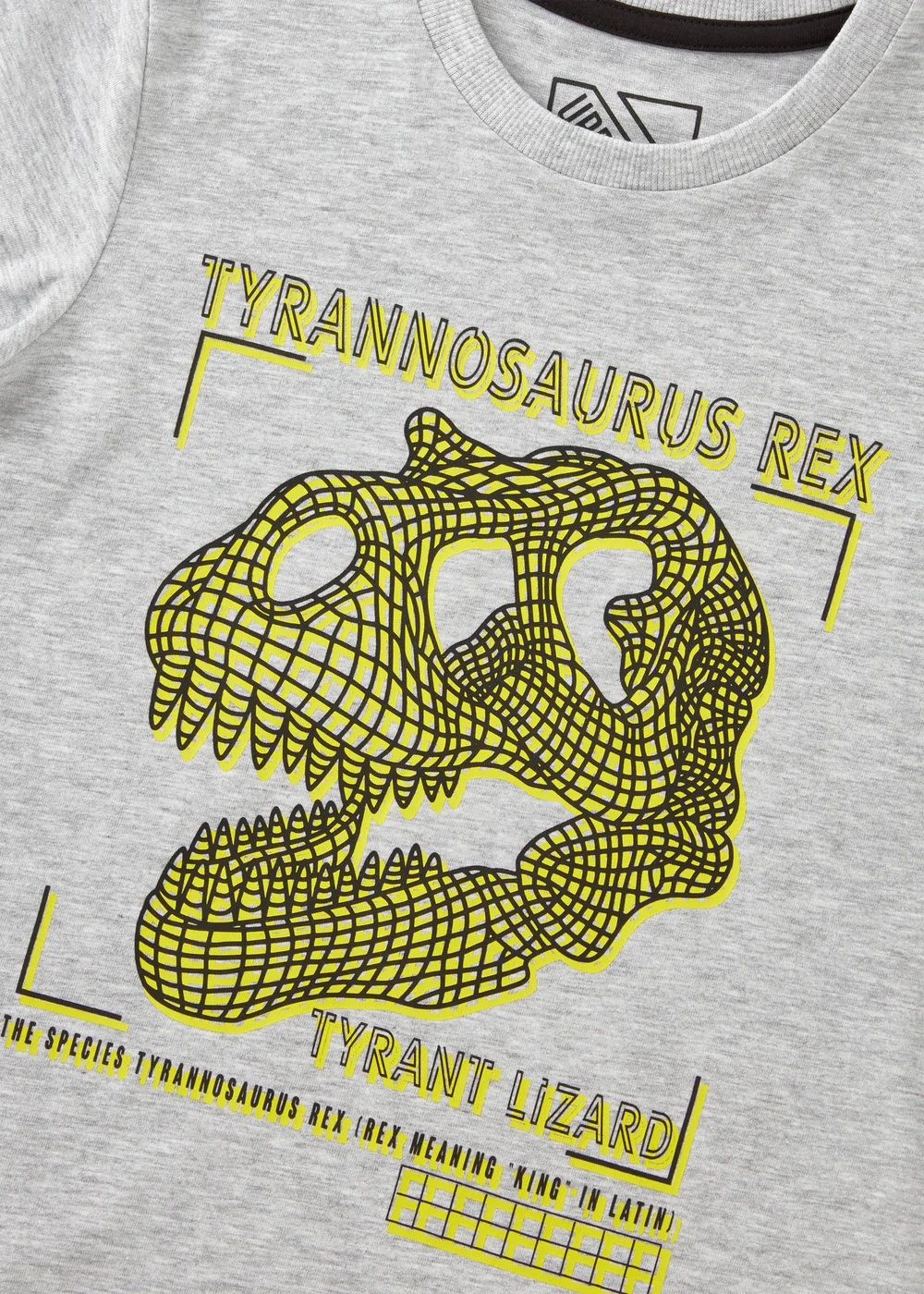 Boys Grey T-Rex T-Shirt (7-15yrs) - 7 Yrs Image 2
