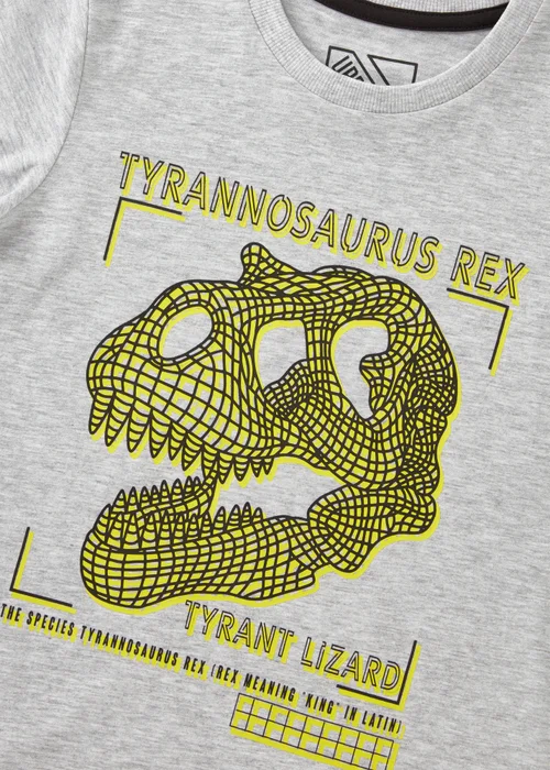 Boys Grey T-Rex T-Shirt (7-15yrs) - 7 Yrs Image 2