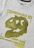 Boys Grey T-Rex T-Shirt (7-15yrs) - 7 Yrs Image 2