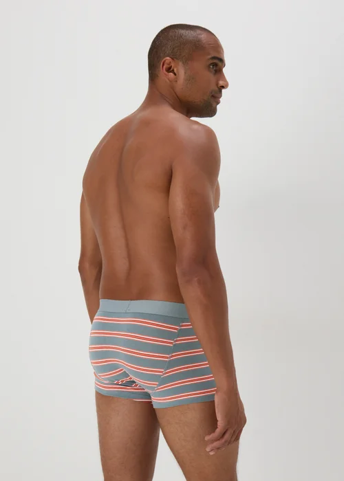 3 Pack Orange Stripe Hipsters - XS Image 3