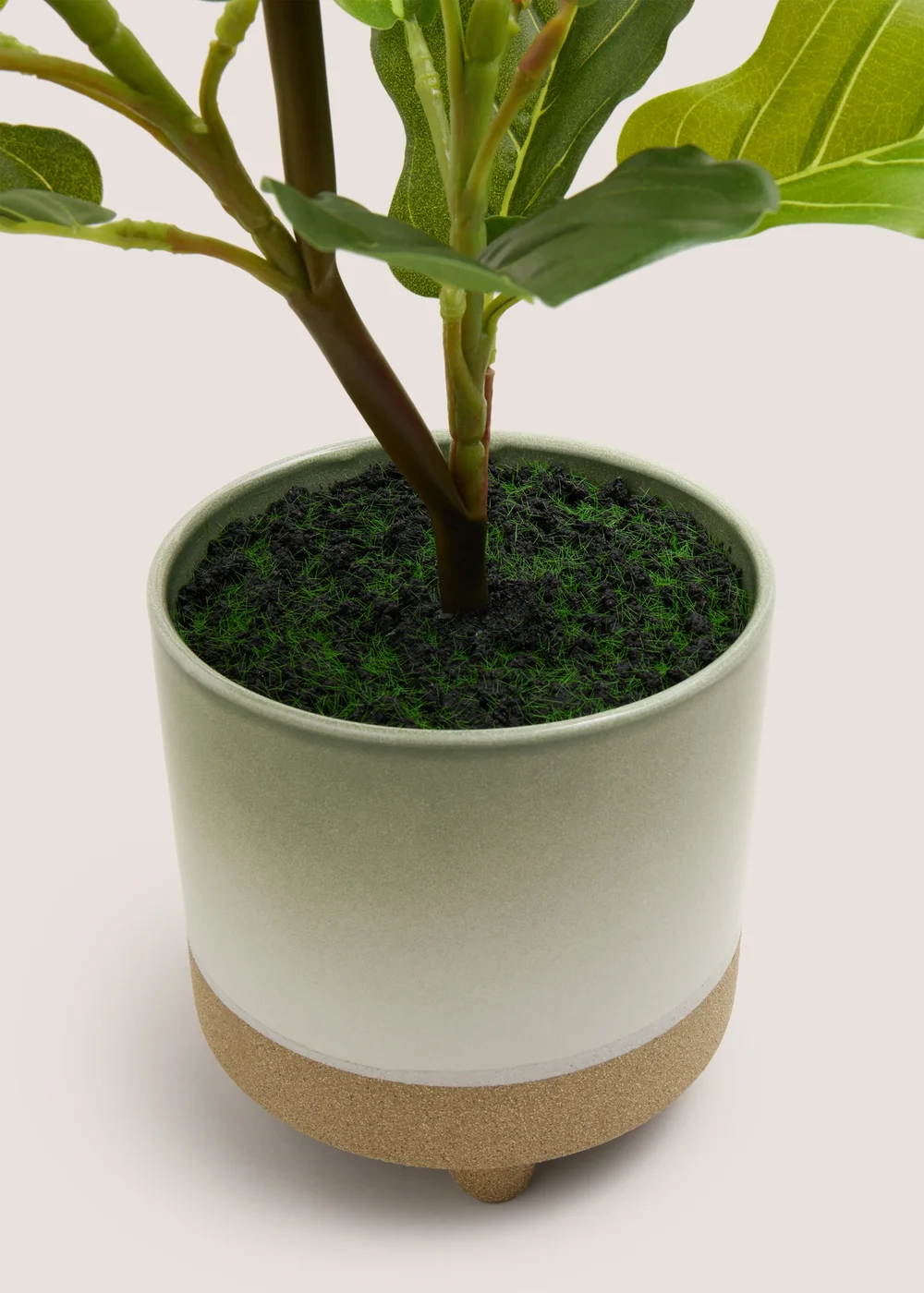Leafy Plant In Reactive Pot Image 2
